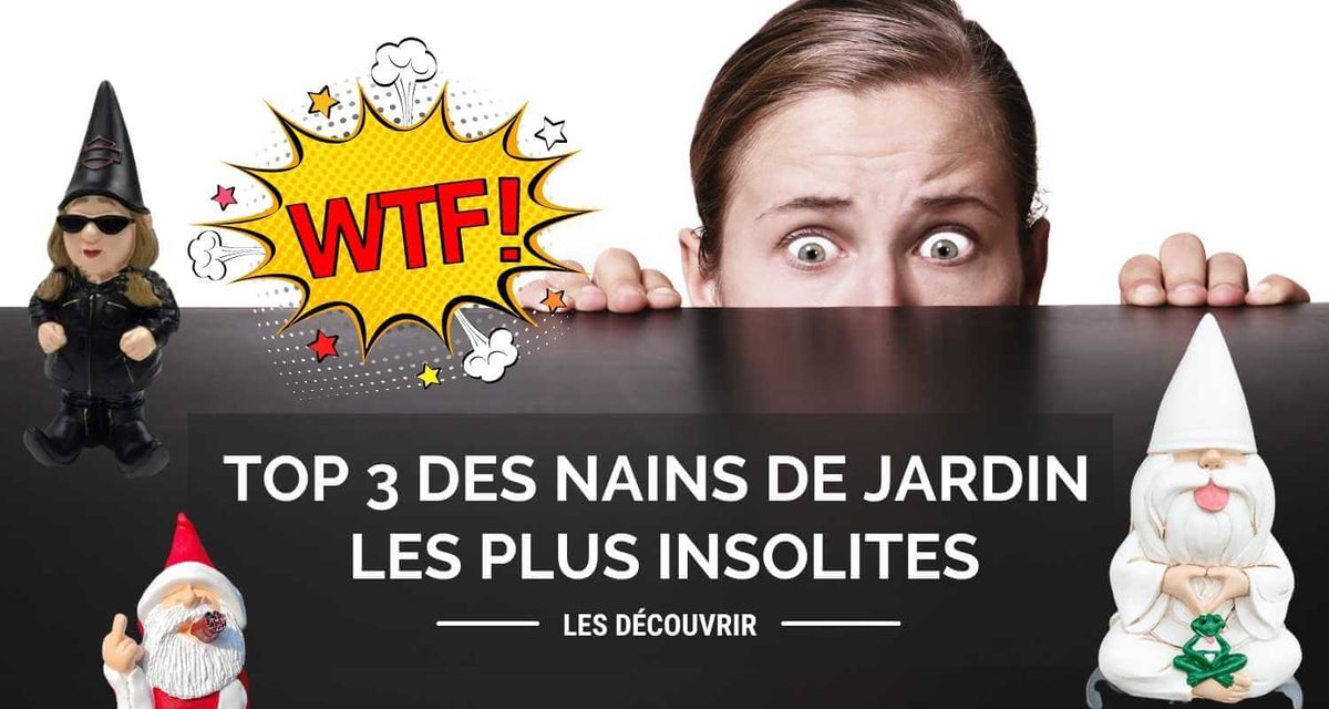 Top 3 des nains de jardin les plus insolites
