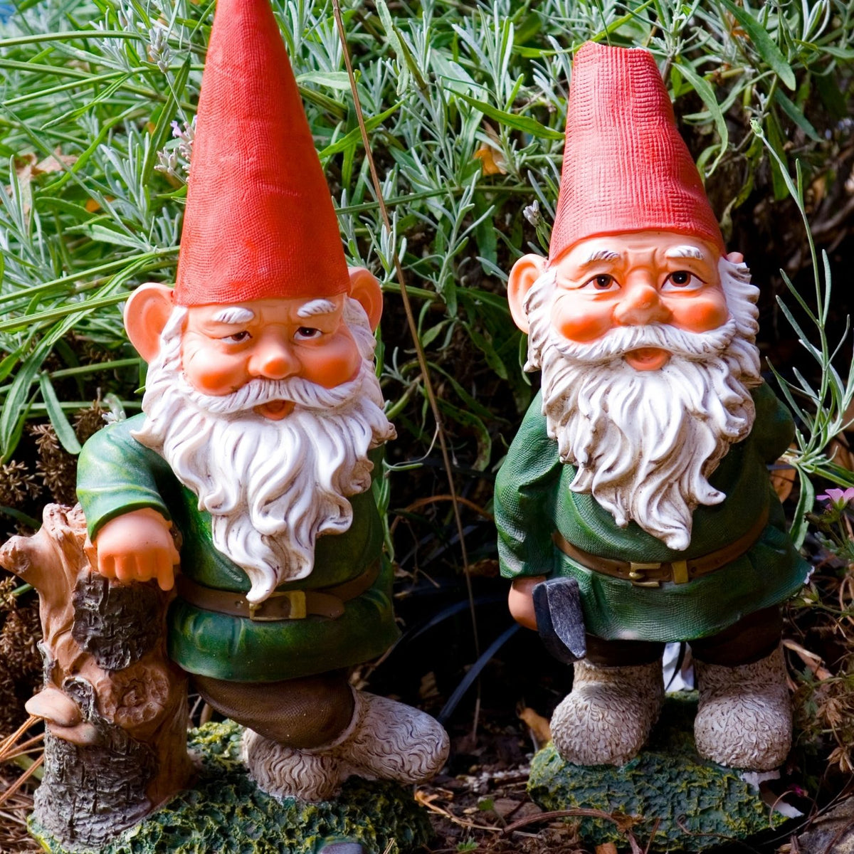 Gnomes de jardin large choix au meilleur prix & Meilleur Nain de Jardin