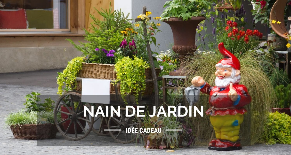 Nain de jardin | Idée cadeau à acheter en ligne & Meilleur Nain de Jardin