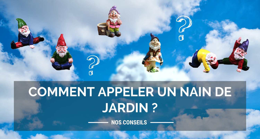 Comment appeler un nain de jardin ?