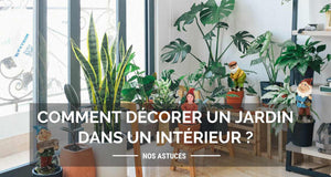 Comment décorer un jardin dans un intérieur ?