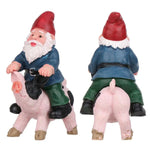 nain de jardin cochon sur fond blanc