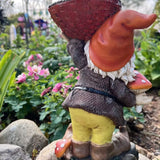 Nain de jardin géant vue de dos
