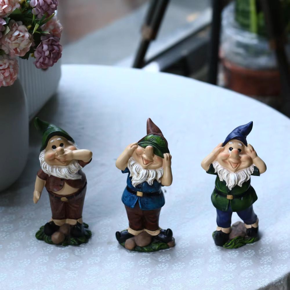 nain de jardin sage