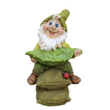 nain de jardin vert sur fond blanc